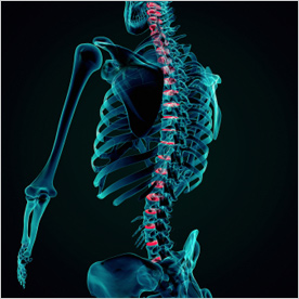 Physiotherapists / Chiropractor - London | London Spine & Joint Clinic